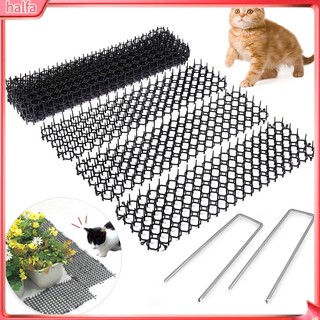 Bộ 10 thảm đuổi mèo bảo vệ cây hoa 13cm x 49cm