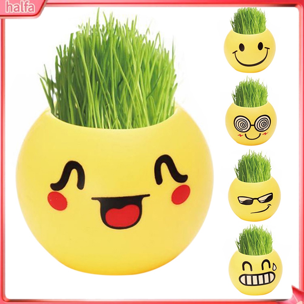HALFA| Chậu trồng cỏ bằng nhựa mini hình biểu tượng cảm xúc xinh xắn trang trí thủ công để bàn làm việc/ cửa sổ