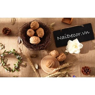 Lát gỗ khoanh tự nhiên trang trí, phụ kiện chụp ảnh, decor, handmade