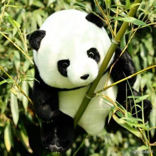 Mô phỏng gấu trúc búp bê hoa búp bê đồ chơi sang trọng Menglan búp bê lớn gối vải🤡HÀNG CÓ SẴN🤡