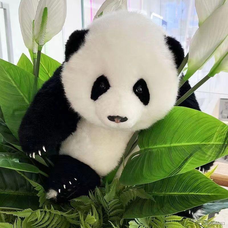 Mô phỏng gấu trúc búp bê hoa búp bê đồ chơi sang trọng Menglan búp bê lớn gối vải🤡HÀNG CÓ SẴN🤡