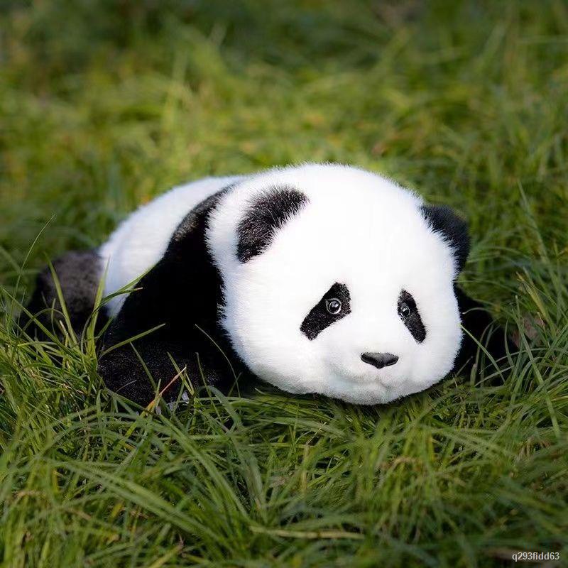 Mô phỏng gấu trúc búp bê hoa búp bê đồ chơi sang trọng Menglan búp bê lớn gối vải🤡HÀNG CÓ SẴN🤡