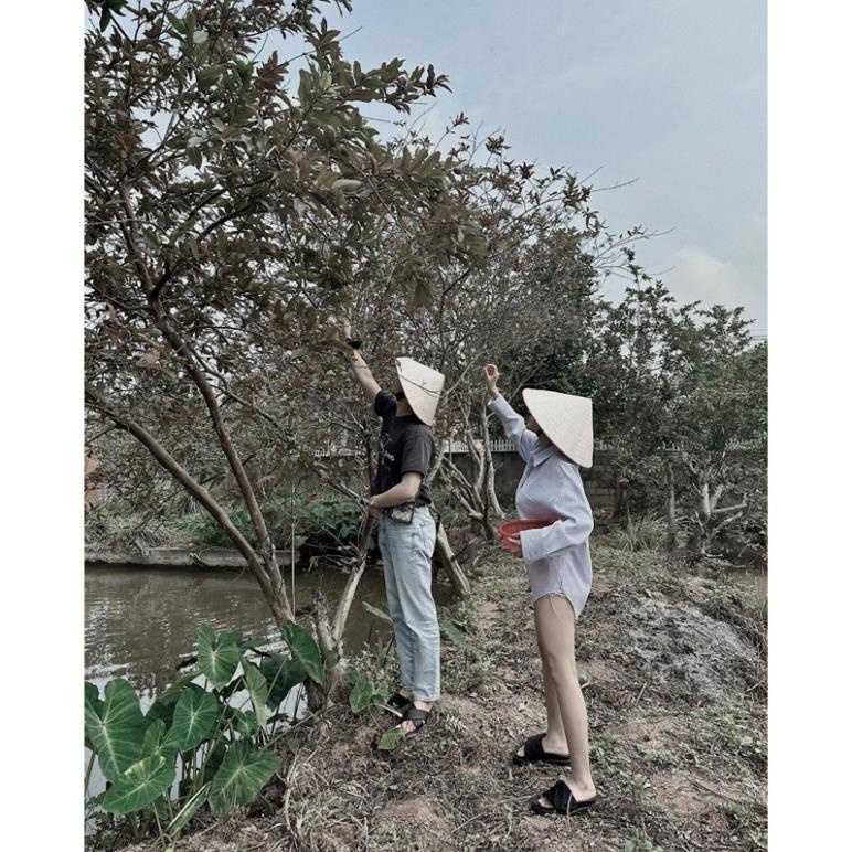 Áo Sơ Mi Kẻ Xanh MPB