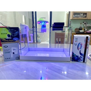 Đèn kẹp Xuan Mei Long