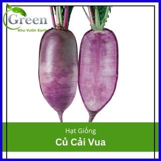 Hạt giống củ cải đỏ tím vua 1kg - gói 20 hạt