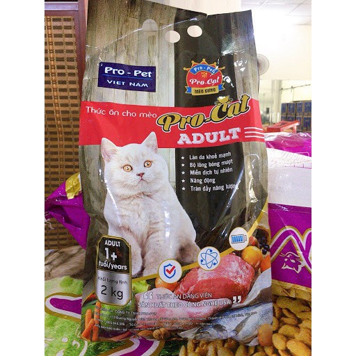 Thức Ăn Hạt Cho Mèo Mèo Pro-cat Adult 2kg thucanchomeoS