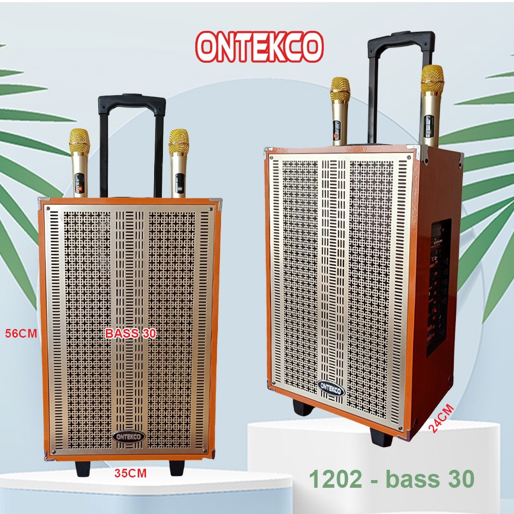 Loa kéo karaoke 1202 bass 30 kèm 2 micro