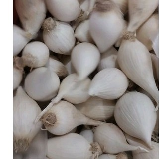 200g tỏi cô đơn Lý Sơn ( giá dùng thử )