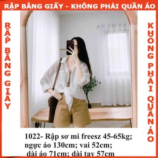 Rập giấy mã 1022- Rập áo sơ mi freesz (Bản vẽ) (BẢN VẼ)