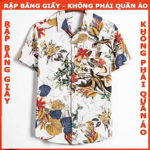 Rập giấy A0 mã B37 (Bản vẽ) - rập sơ mi nam (BẢN VẼ)