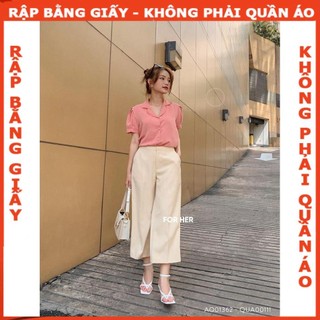 Rập áo danton cổ B- Rập giấy mã 24 - ( bản vẽ) (BẢN VẼ)