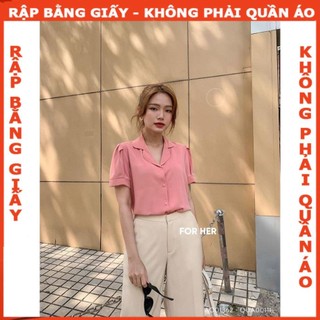 Rập áo danton cổ B- Rập giấy mã 24 - ( bản vẽ) (BẢN VẼ)