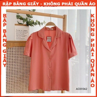Rập áo danton cổ B- Rập giấy mã 24 - ( bản vẽ) (BẢN VẼ)