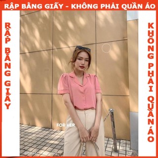 Rập áo danton cổ b- rập giấy mã 24 -