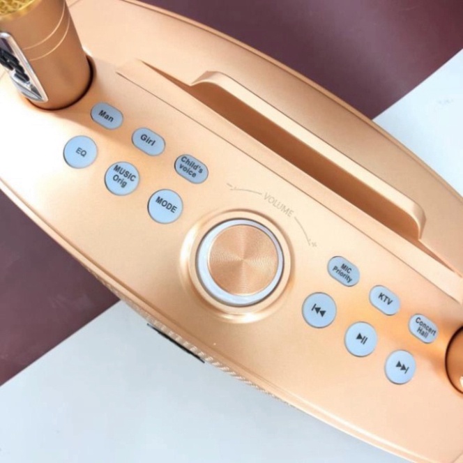 Loa karaoke bluetooth SD 306 Plus âm thanh chất lượng đỉnh cao,loa không dây kèm 2 micro hát song ca nhạc hay bass chuẩn