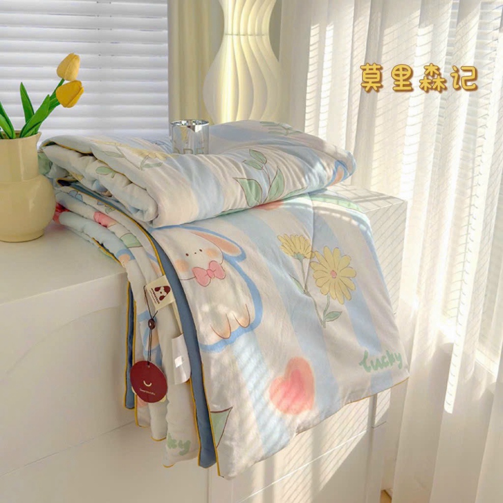 Chăn hè thu cotton đũi Hàn trần bông nhập khẩu 2mx2m3 -  HOT