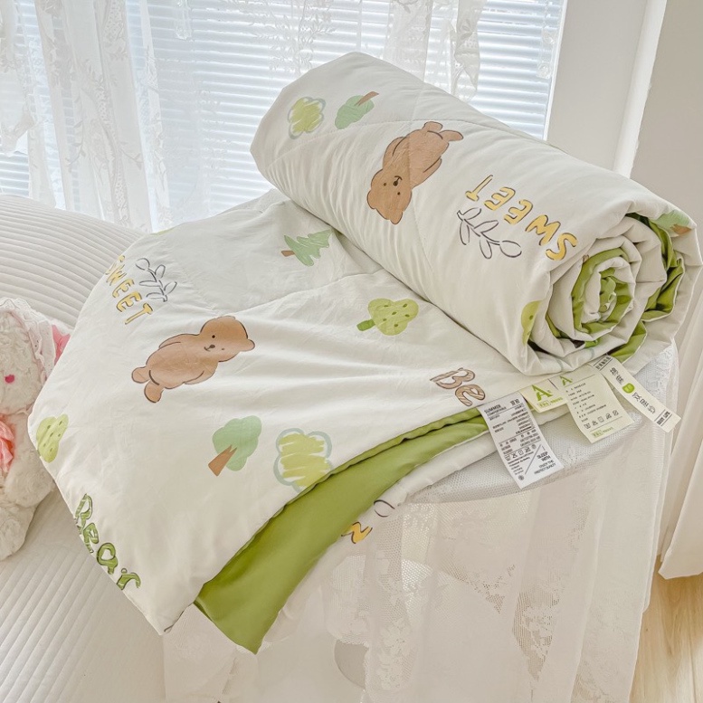 Chăn hè thu cotton đũi Hàn trần bông nhập khẩu 2mx2m3 -  HOT