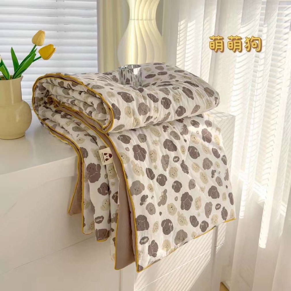 Chăn hè thu cotton đũi Hàn trần bông nhập khẩu 2mx2m3 -  HOT