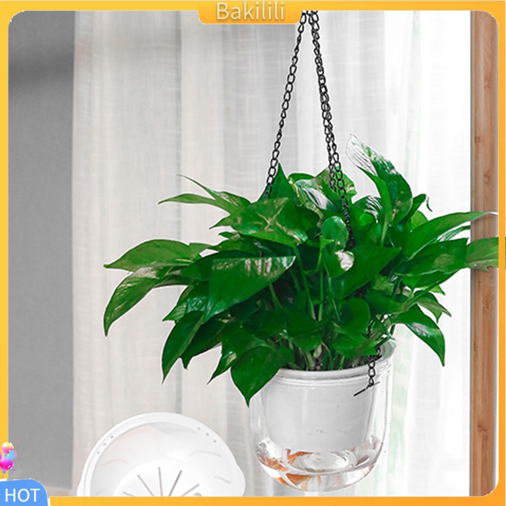 1 Set Chậu Hoa Treo Tường Tự Tưới Nước Trong Suốt Chống Rò Rỉ Trang Trí Nhà Cửa