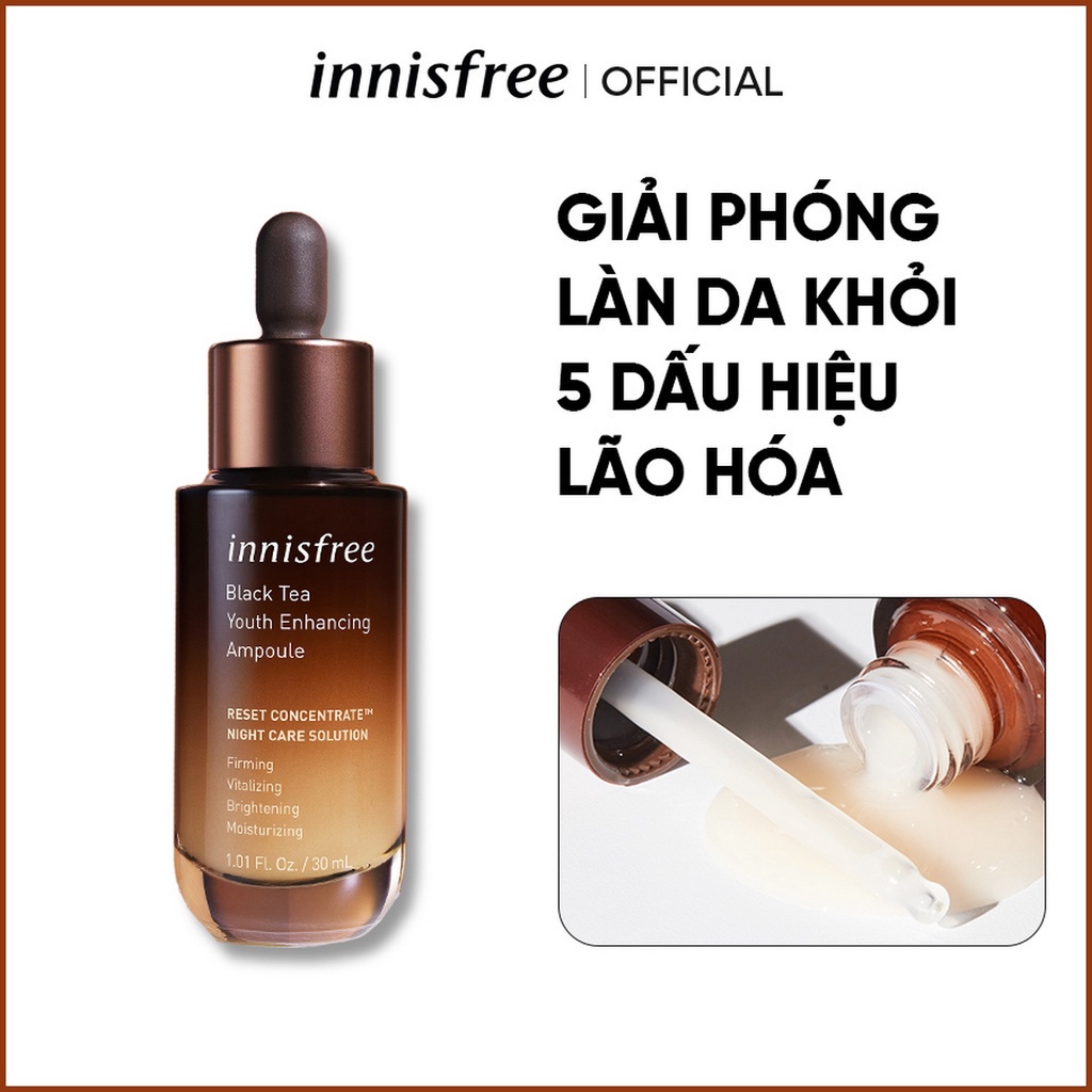 Bộ 3 sample dưỡng da chống lão hóa trà đen Innisfree Black Tea Trio Kit