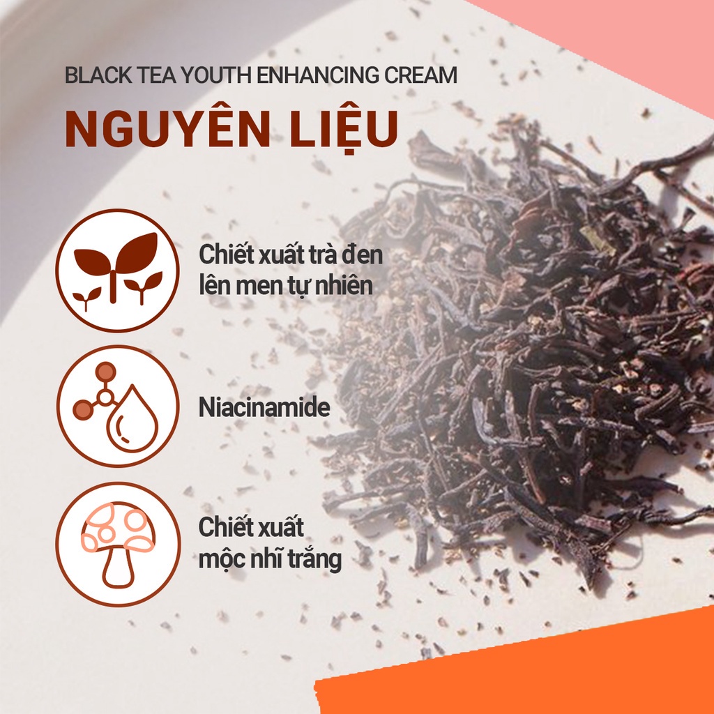 (Quà tặng không bán) Bộ sản phẩm phục hồi da và chống lão hóa trà đen innisfree Black Tea Youth & Kombucha Mask Gift