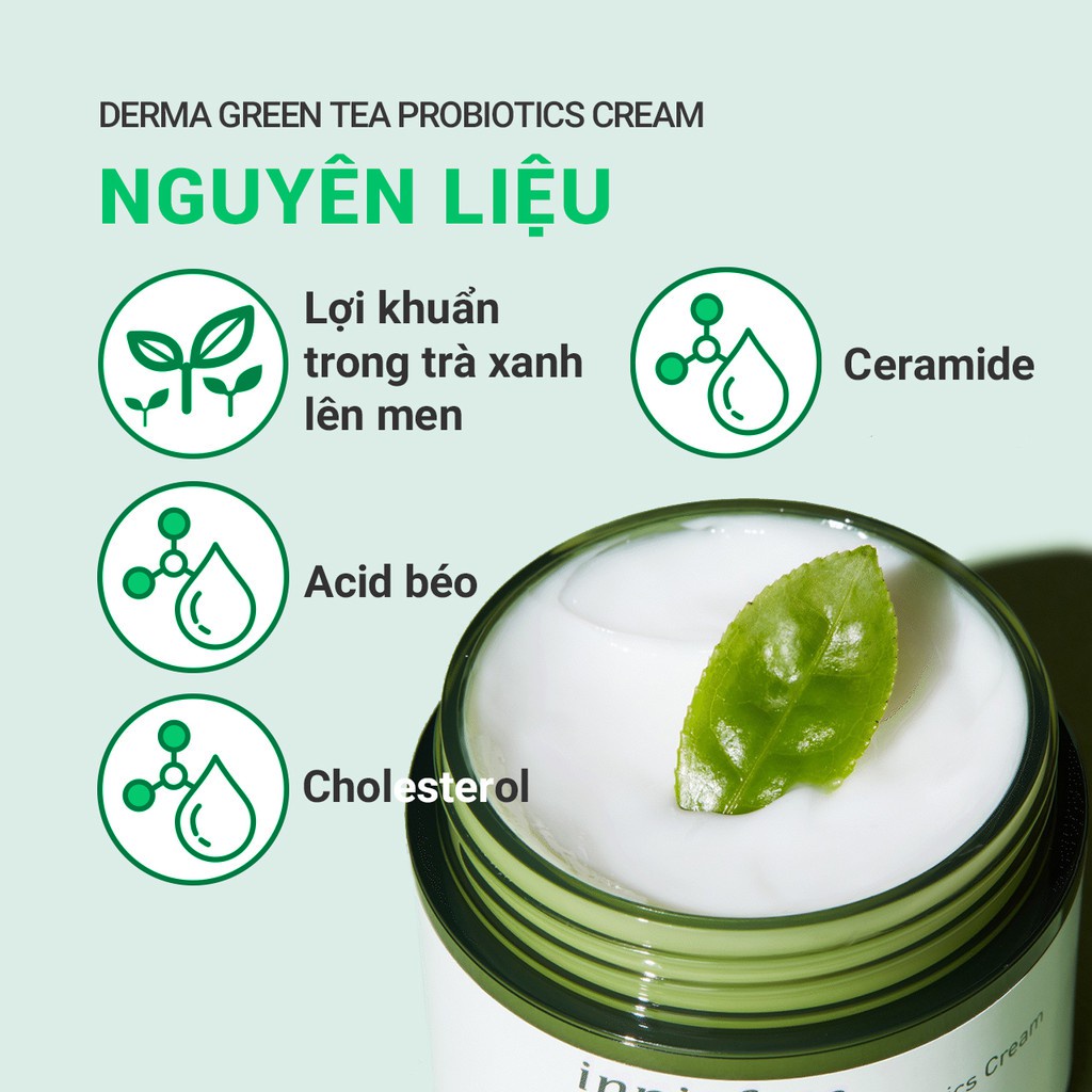 [Mã COSIF112 giảm 10% đơn 600K] Kem dưỡng ẩm Innisfree Derma Green Tea Probiotics Cream 50Ml