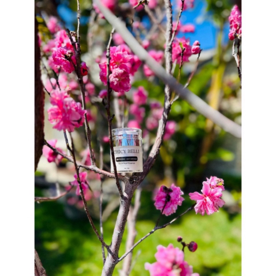 Kem dưỡng trắng tái tạo da CHICY BELLI BLACK PEACK ESSENCE tinh chất ngọc trai chống nắng vitamin collagen 30g