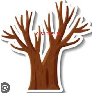 { H15 - Cao 1.10 mét  & 82cm} 1 THÂN CÂY XỐP  ( KHÔNG GỒM HOA LÁ,.. ) - 15 đôi thiên nga trang trí thiệp bằng