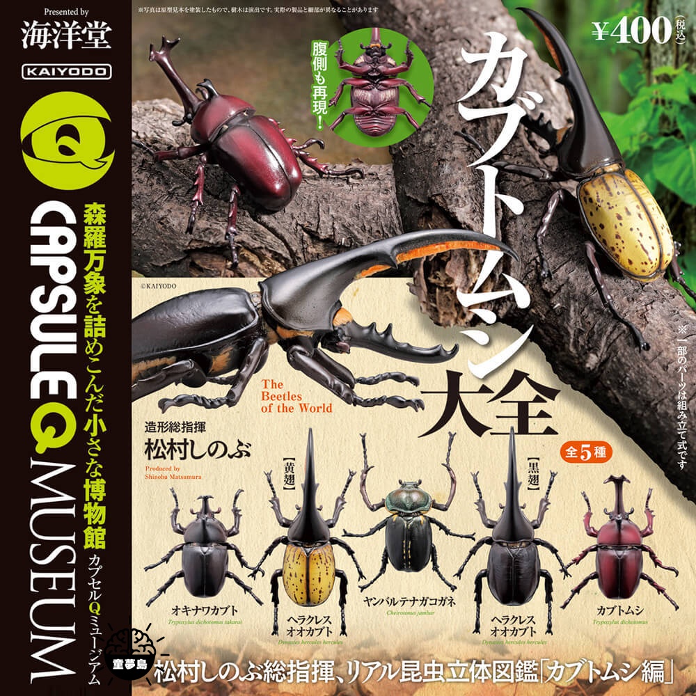 Kaiyodo Kaiyodo Đồ Chơi Viên Nang Côn Trùng Ba Chiều Bọ Cánh Cứng Encyclopedia Long Halberd Big Pock