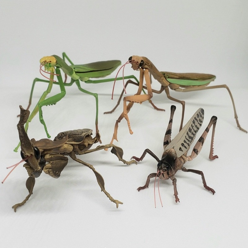 Mô Hình Côn Trùng Mini BANDAI BANDAI Gashapon 02