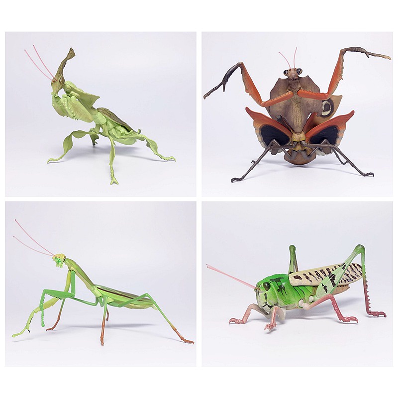 Mô Hình Côn Trùng Mini BANDAI BANDAI Gashapon 02