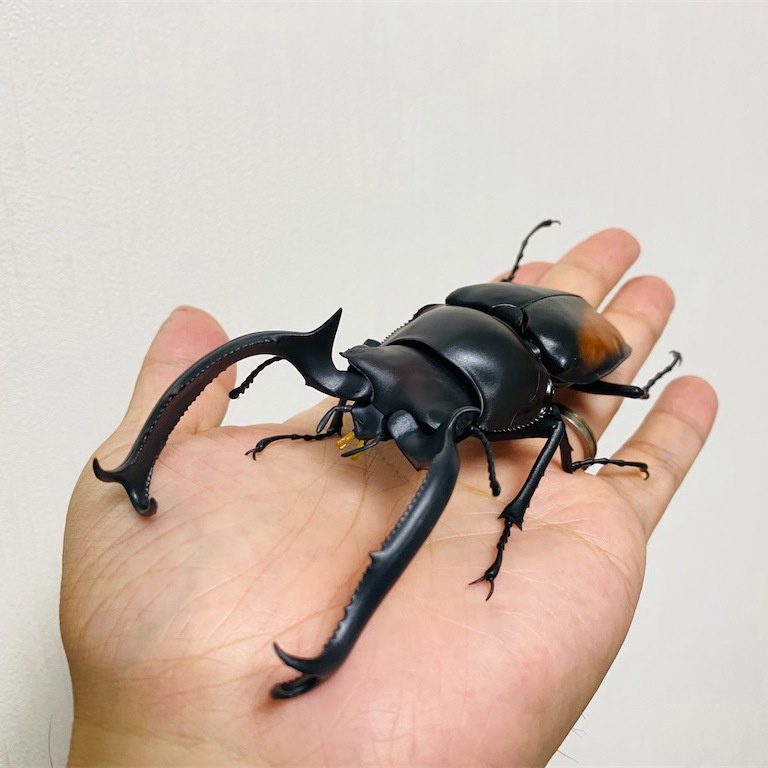 Bandai Mô Hình Lắp Ráp Nhân Vật Gashapon Beetle Stag Beetle