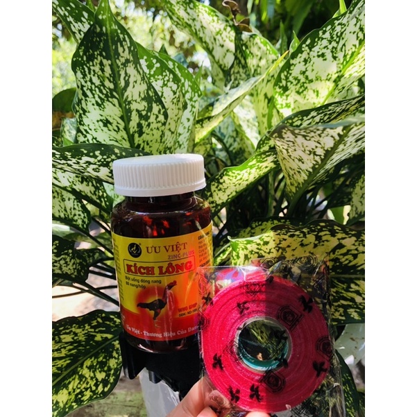 kích lông ưu việt