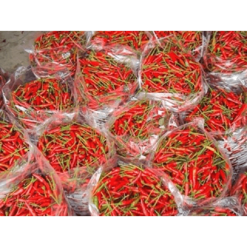 Số lượng ít nhanh hết hàng Tương ớt siêu cay thơm ngon 500ml nguyên chất cho người sành ăn