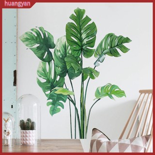 Hy| miếng dán tường trang trí hình lá cây nhiệt đới