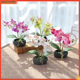 Chậu hoa lan giả dùng trang trí nhà cửa/văn phòng