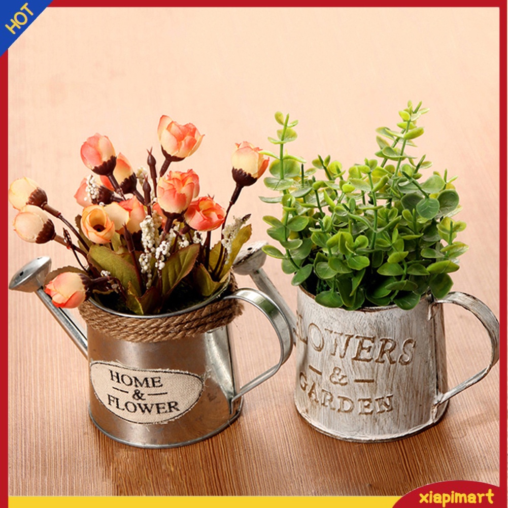 Bình Tưới Cây Bằng Sắt Phong Cách Vintage Xinh Xắn