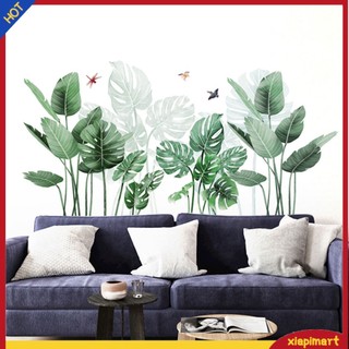 <xiapimart> decal dán tường Hình Cây Chuối Và Lá Chuối Dùng Trang Trí Phòng Khách