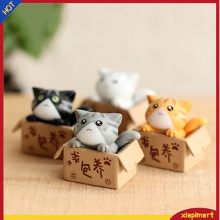 <xiapimart> Tượng mini hình chú mèo trong hộp siêu dễ thương dùng trang trí tiểu cảnh/ chậu cây