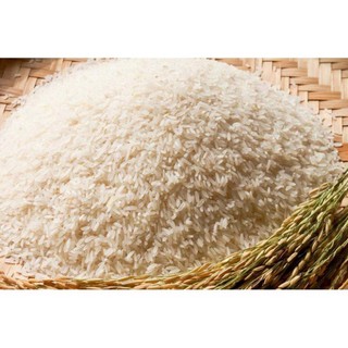 Gạo Bắc hương thơm ngon