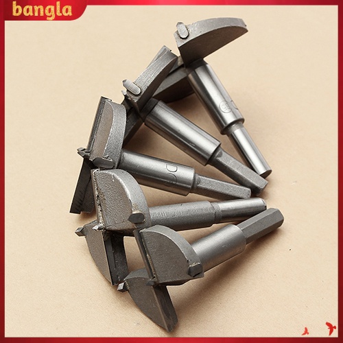 Mũi Khoan Gỗ Bgl-Alloy 16mm - 65mm