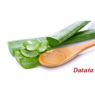 Chai Nước Yến sào Nha Đam Datafa 500ml
