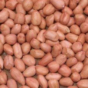 Lạc khô bóc vỏ