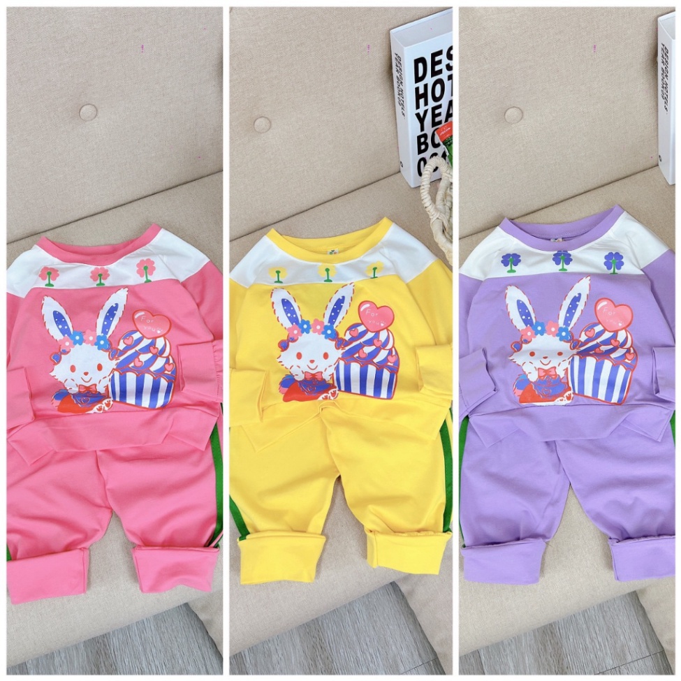 Set bộ thu đông bé gái dài tay chất cotton Kittenbabyshop