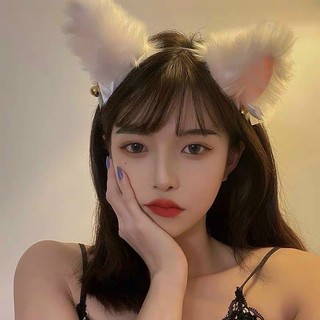 Thanh lý CÀI TAI THÚ CƯNG