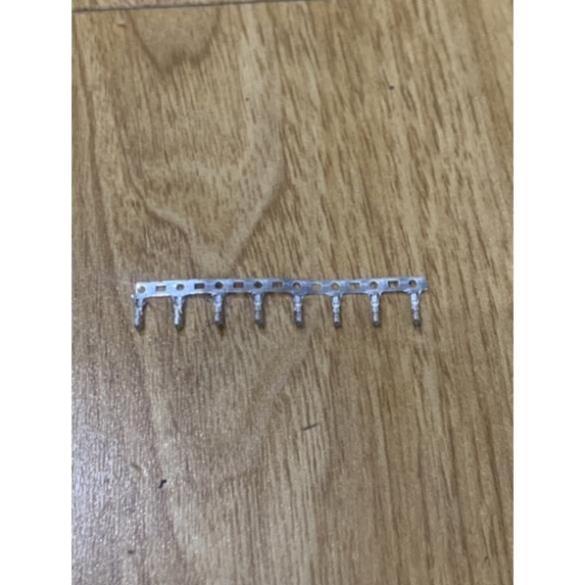 Molex 10 lỗ rắc Ecoder cho động cơ EZi Servo