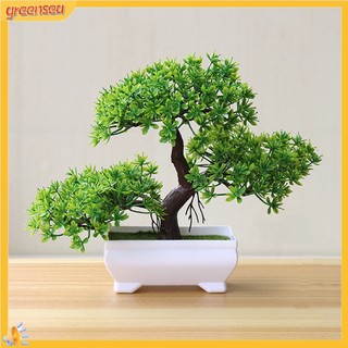 (greensea) Cây Bonsai Giả Trang Trí