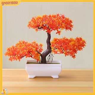 (greensea) Cây Bonsai Giả Trang Trí