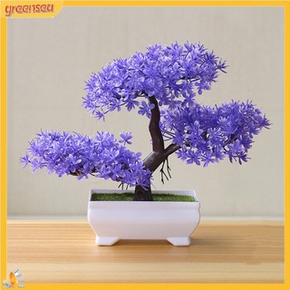 (greensea) Cây Bonsai Giả Trang Trí