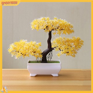 (greensea) Cây Bonsai Giả Trang Trí